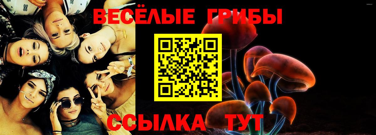 Галлюциногенные грибы Cubensis  Псилоцибиновые грибы ЛСД  Чернушка  Вход с VPN 